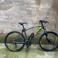 Bici olmo