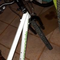 bici ragazzo