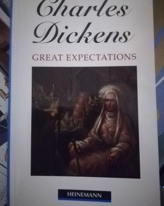 Great expectations - in inglese