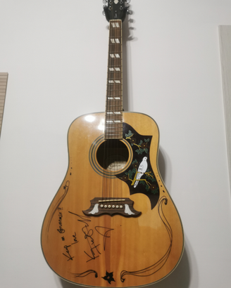 Epiphone Dove