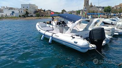 Stingher 880 con 300 Hp Suzuki