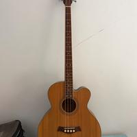 Basso acustico elettrificato