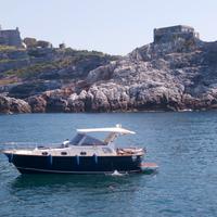 Mimì Libeccio 31 (2008)