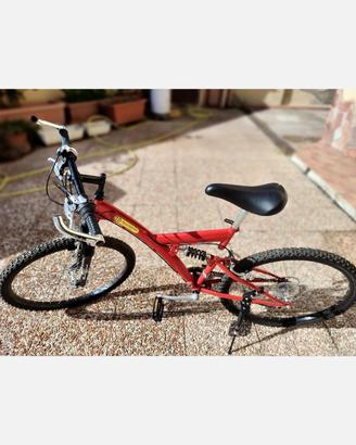 bicicletta sportiva uomo