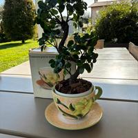 Simpatico Portavaso Kasanova