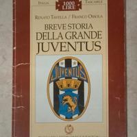 Breve storia della grande Juventus