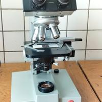 microscopio leitz a contrasto di fase