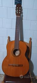 Chitarra acustica 