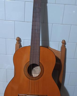 Chitarra acustica 