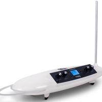 Moog Theremini - PERFETTO.