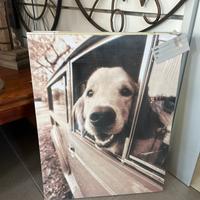 Quadro pannello Cane