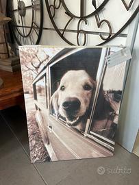 Quadro pannello Cane