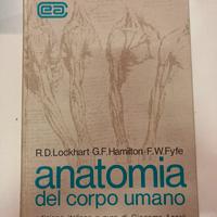 Anatomia del corpo umano Azzali Lockhart Hamilton