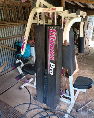 palestra 