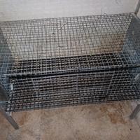 Gabbia Gabbie animali