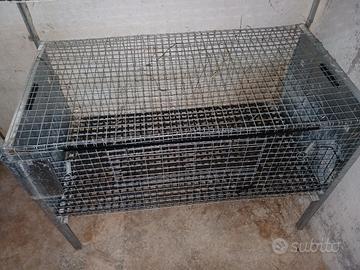 Gabbia Gabbie animali