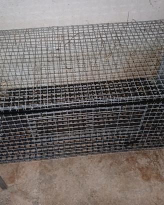 Gabbia Gabbie animali