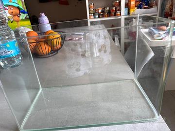 Acquario da 10 litri