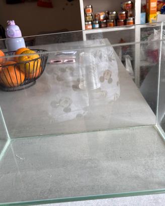 Acquario da 10 litri