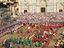 Immagine 16