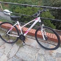 mtb Olmo Nava