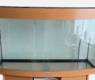 Acquario Juwel Vision 180L ad uso Terrario