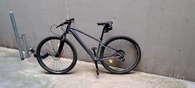 MTB muscolare