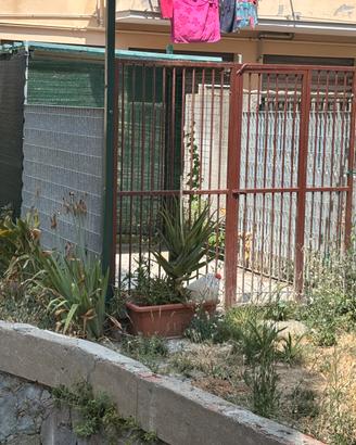 Box per animali in ferro zincato