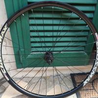 Ruota MTB posteriore 29 pollici 12v mozzo Shimano.