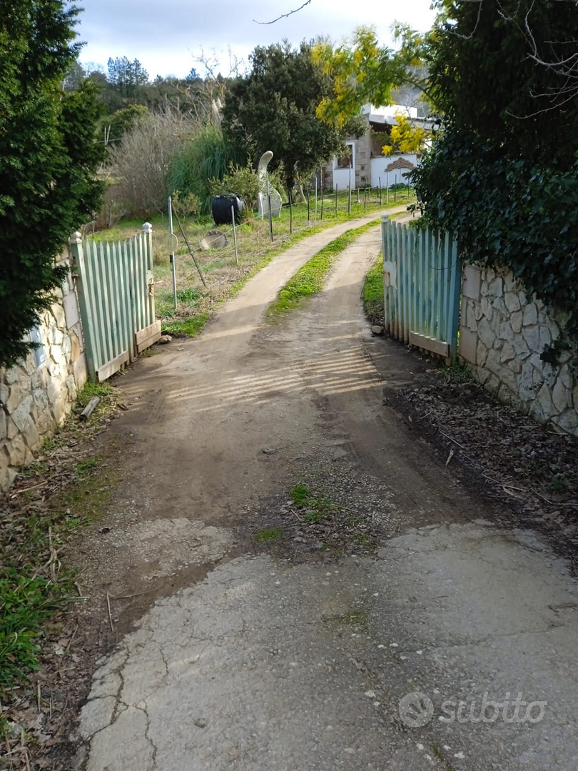 Terreno con casa - Vista 5