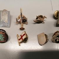 PIN  VARIE