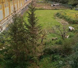 Terreno in Roma