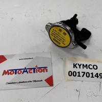 Tappo Radiatore Comp. Kymco x citing 500 2005