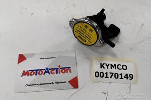 Tappo Radiatore Comp. Kymco x citing 500 2005
