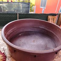 mangiatoia/abbeveratoio 