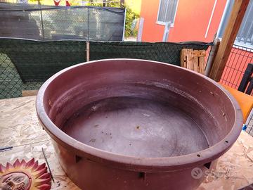 mangiatoia/abbeveratoio 