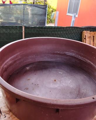 mangiatoia/abbeveratoio 