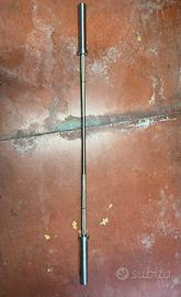 Bilanciere Lacertosus 15 kg