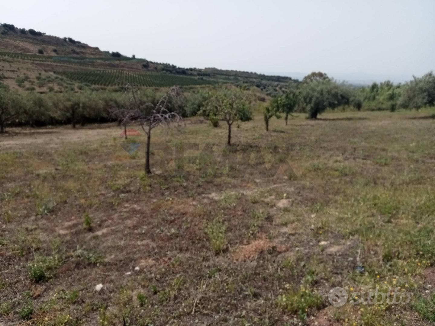 Terreno - Motta Sant'Anastasia - Vista 6