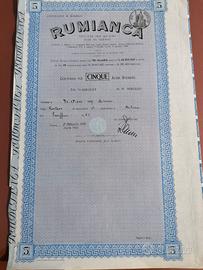 Azione Rumianca 5 - Certificato azionario antico