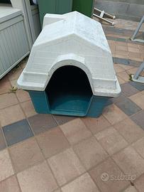 Casetta cane