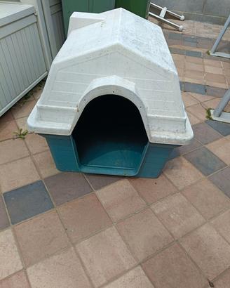 Casetta cane