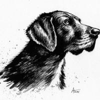 disegno a china 