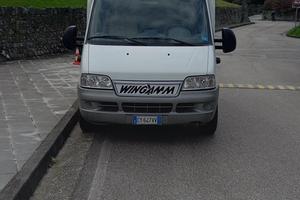 Camper wingamm oasi 500