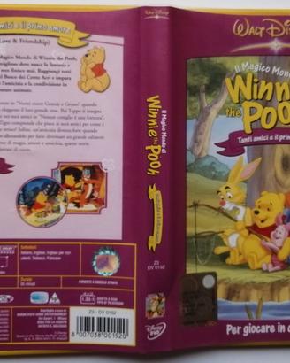 Winnie the Pooh Tanti amici e il primo amore, DVD