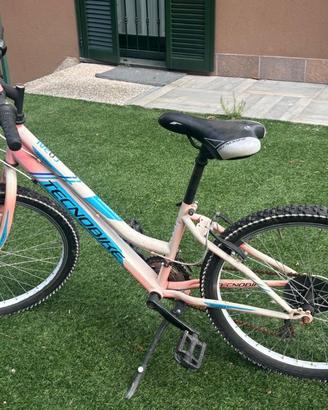 MOUNTAINBIKE TECKNOBIKE