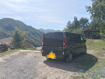 trafic passenger 9 posti