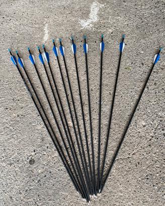 Set 12 Frecce Carbonio Sharrow Spine 700