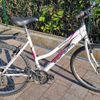 MTB MOUNTAIN BIKE 26"