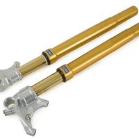 Ohlins Ducati Forcella Mono Ammortizzatore Molle